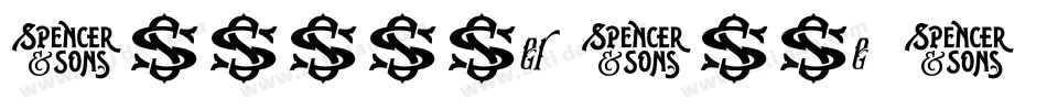 Schnyder Wide S字体转换